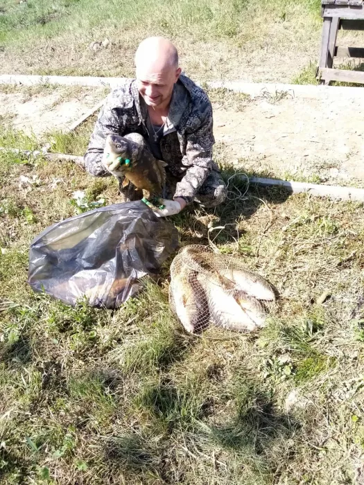 Отдых у Дарьи. Турбаза