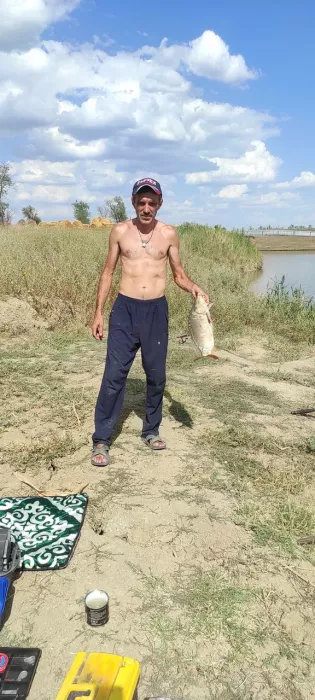 Отдых у Дарьи. Турбаза