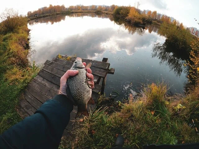 Мичуринские пруды. База отдыха