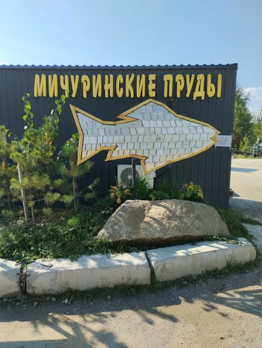 Мичуринские пруды. База отдыха