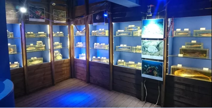 Музей "Морской Биологический Музей Антальи"
