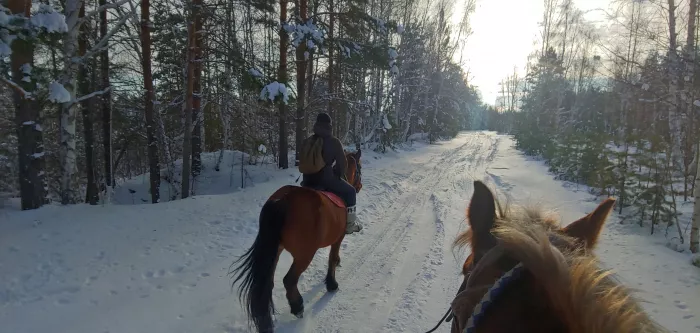 Конный клуб "ФАВОРИТ"