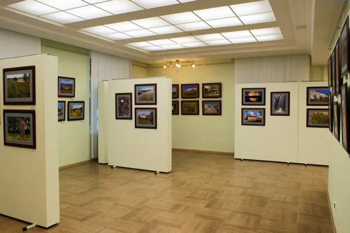 Галерея "Фотоискусства имени В. А. Собровина"
