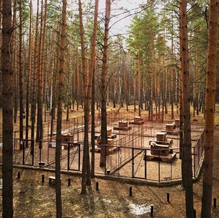 "Хаскилэнд Кемерово"