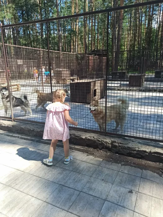 "Хаскилэнд Кемерово"
