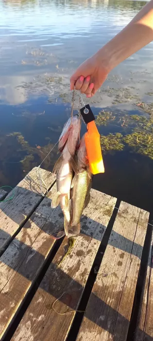 Отдых Клёвое место. Турбаза