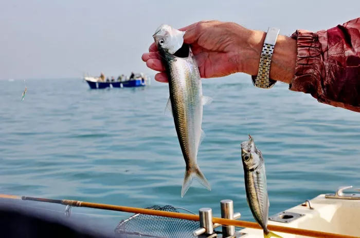 Fishing Adler. Рыболовный Клуб
