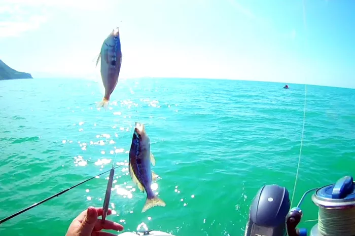 Fishing Adler. Рыболовный Клуб