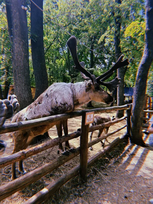 Зоопарк "Сказка"