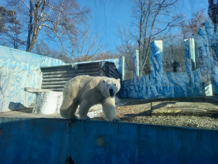 "Зоосад Приамурский им. В. П. Сысоева"
