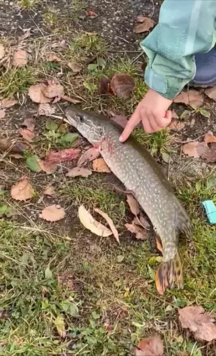 КРХ Мулянка. Рыболовный Клуб