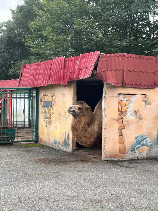 «Владикавказский зоопарк»
