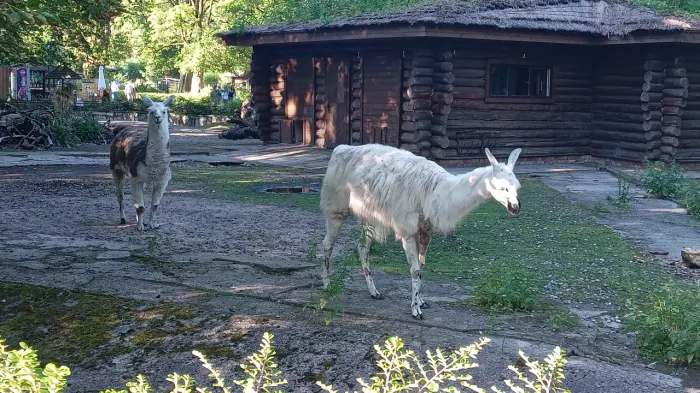 "Калининградский зоопарк"