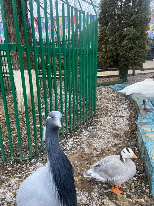 "Грозненский зоопарк"