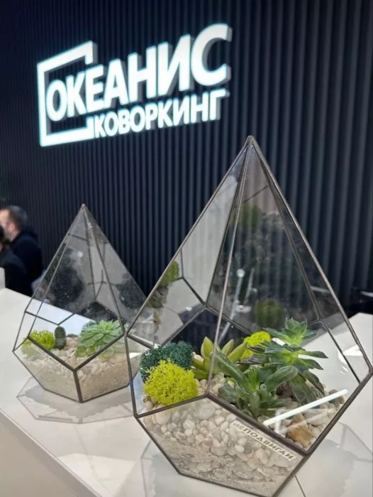 Коворкинг- центр Океанис