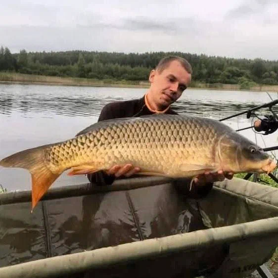Рыбалка Ковалевичи. Рыболовный Клуб