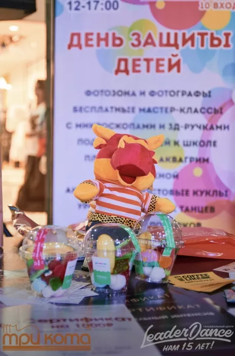 Парк развлечений Три кота