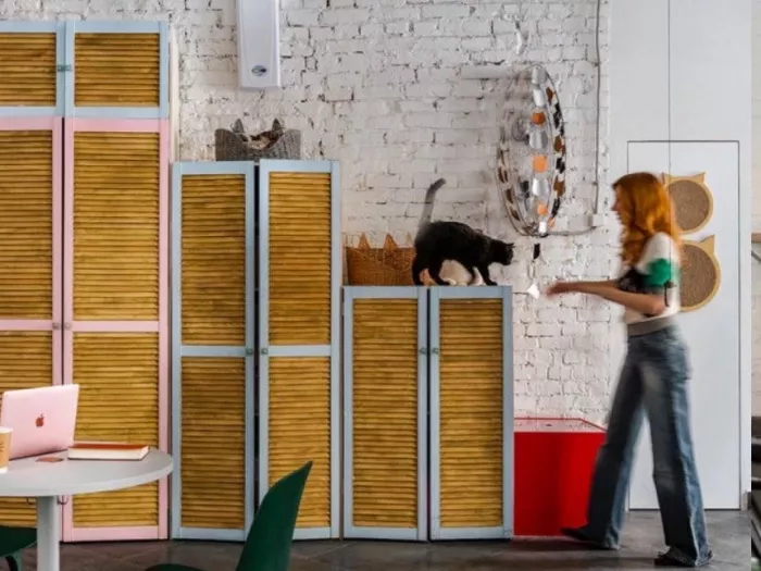 Первый коворкинг с котиками КотоБюро