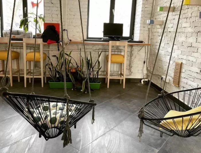 Первый коворкинг с котиками КотоБюро