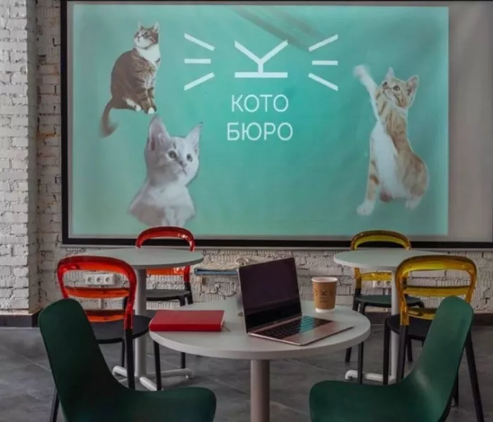 Первый коворкинг с котиками КотоБюро