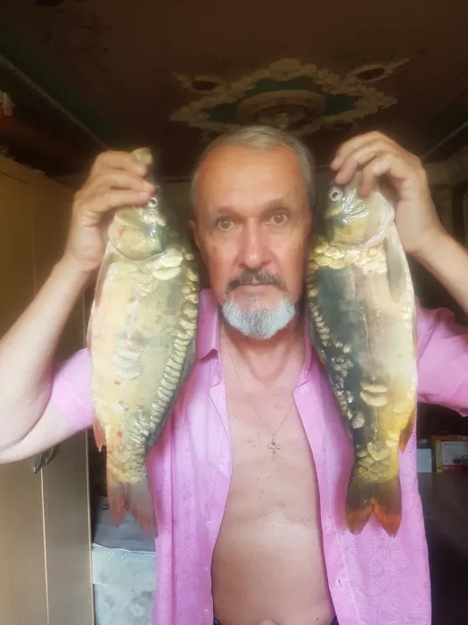 Пруды у Валеры. Рыбное Хозяйство