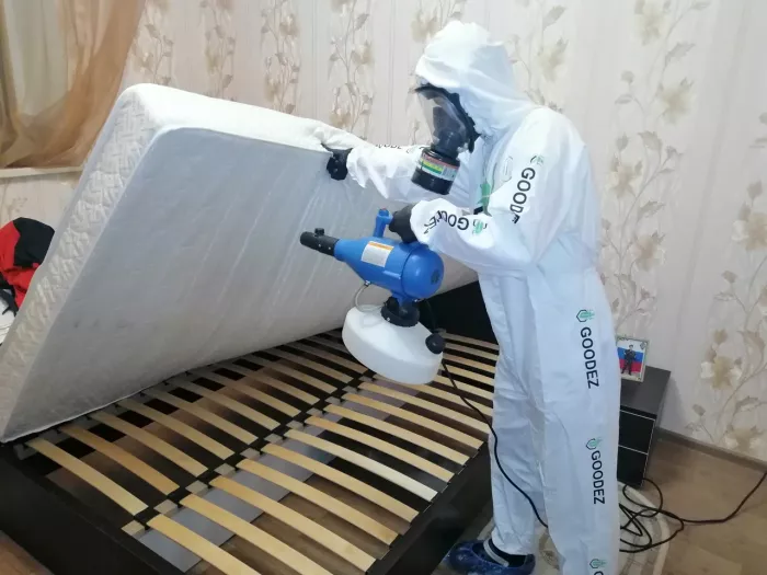 Служба дезинфекции "GOODEZ"