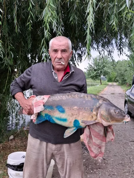 Рыбалка у Самвела. Рыболовный Клуб
