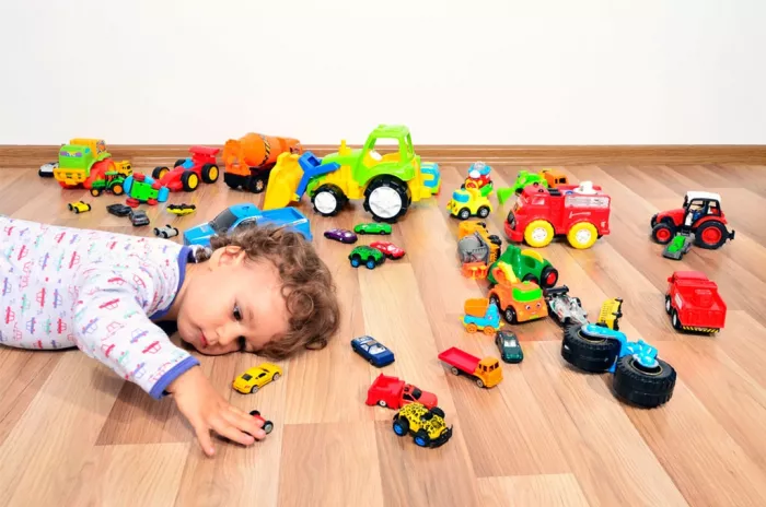 Прокат игрушек  "ToyService"