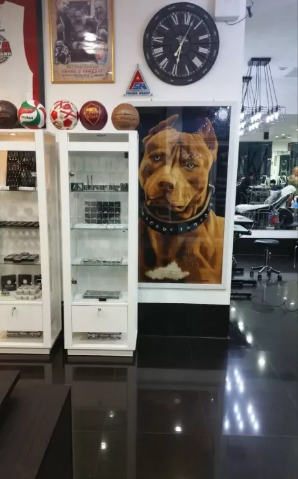 Тату-Студия «Pitbull»