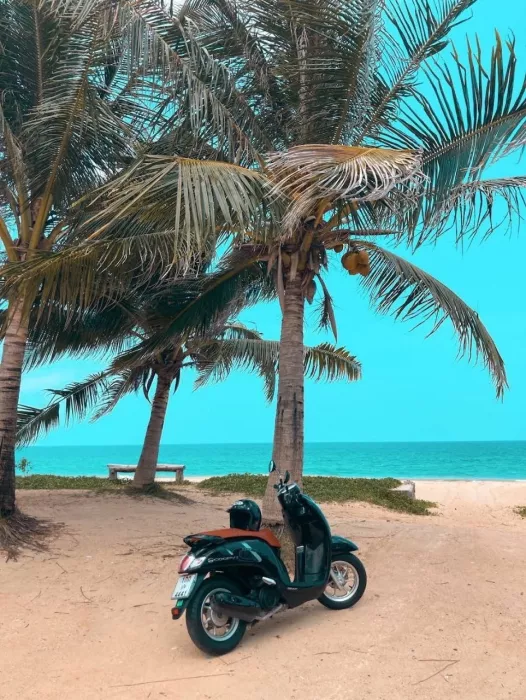 Прокат Мотоциклов «Phuket Scooter Rental»