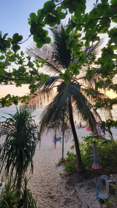 Прокат Мотоциклов «Phuket Scooter Rental»