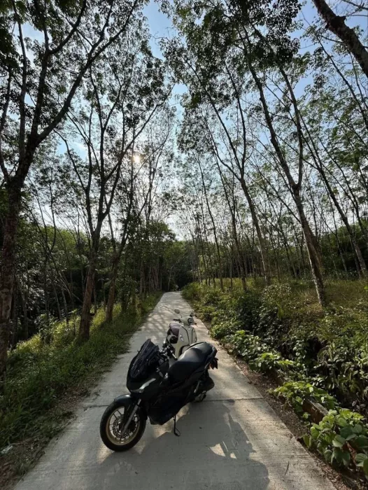 Прокат Мотоциклов «Motorbike Rentals Phuket»