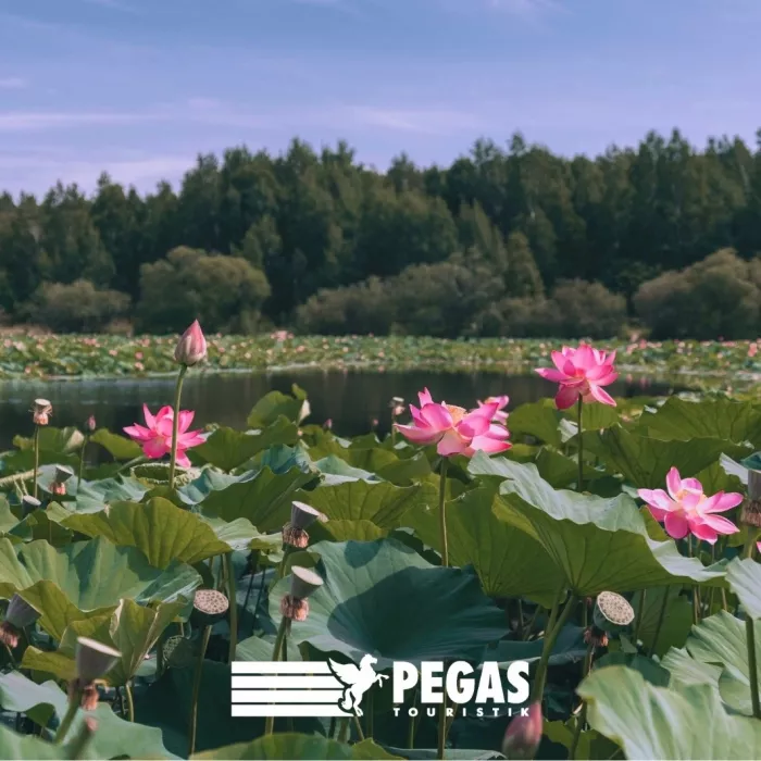Туристическое агентство "Pegas Touristik" на Кулахметова