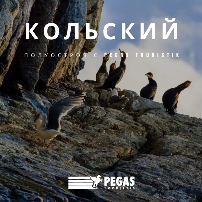 Туристическое агентство "Pegas Touristik" на Кулахметова