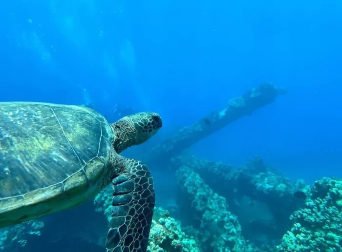 Дайвинг-Центр «Phuket Diving Center»
