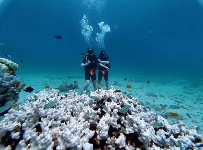 Дайвинг-Центр «Phuket Diving Center»