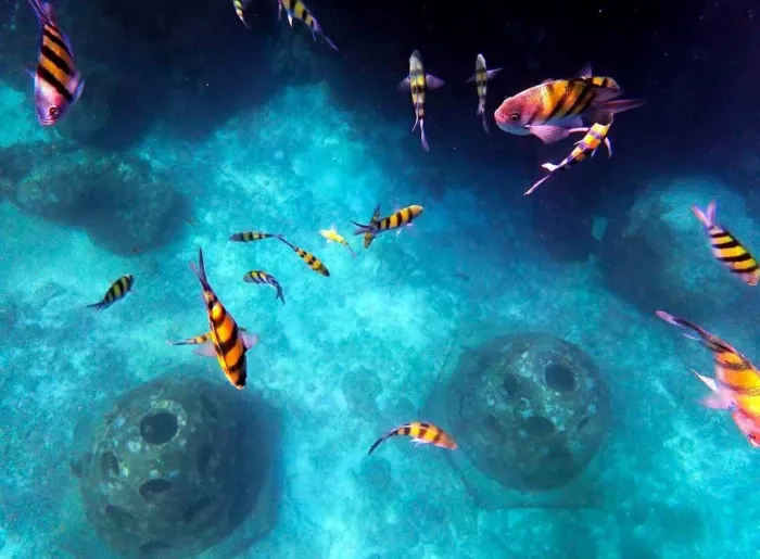 Дайвинг-Центр «Phuket Diving Center»