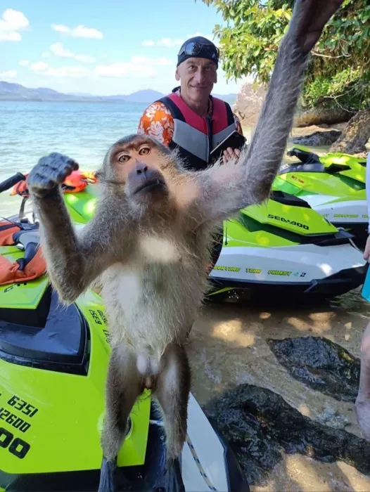 Прокат Гидроциклов «Jetski Adventure Phuket»