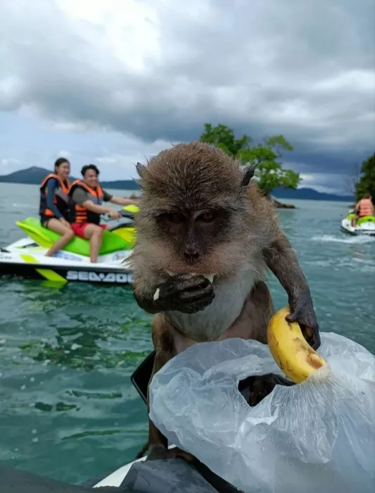 Прокат Гидроциклов «Jetski Adventure Phuket»