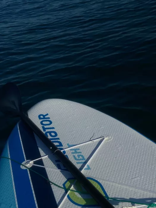 Аренда сапбордов "Manta Sup Surfing"