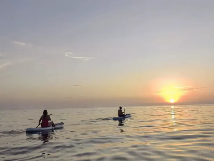 Прокат сапбордов "Sup board для всех"