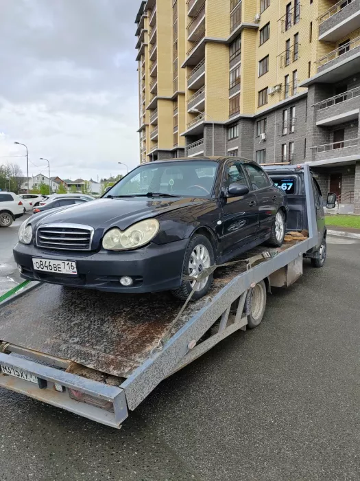 Эвакуация Автомобилей "Золотой лев"