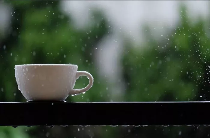 Кофейня «Campus Coffee Roasters»