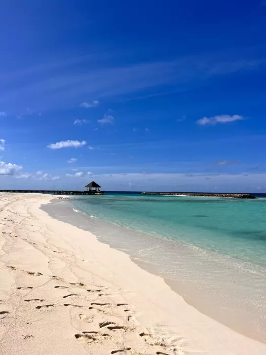 Туристическая компания "Coral Travel"