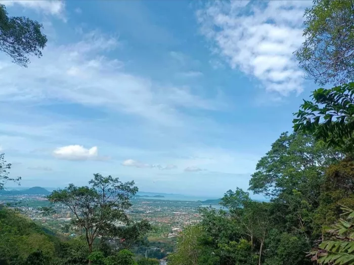 Прокат Квадроциклов «Big Buddha»