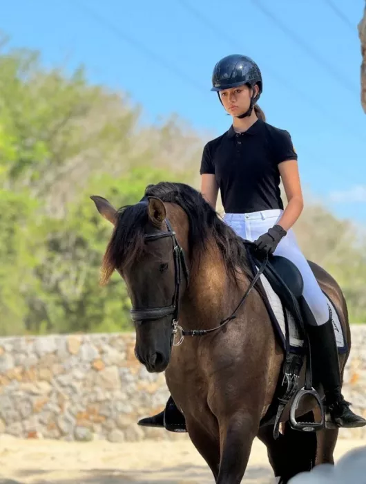 Школа Верховой Езды «Moracea Horse Academy»