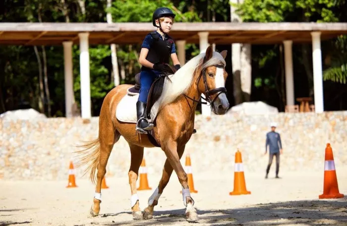 Школа Верховой Езды «Moracea Horse Academy»