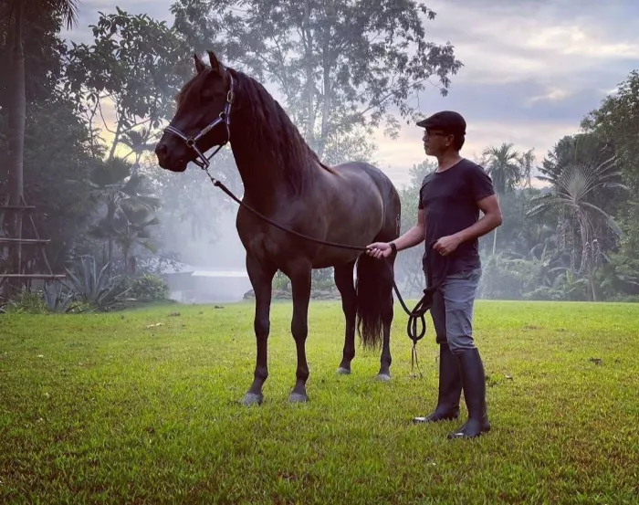 Школа Верховой Езды «Moracea Horse Academy»