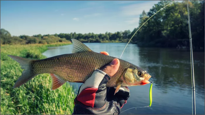 Awees Fish. Товары для Рыбалки