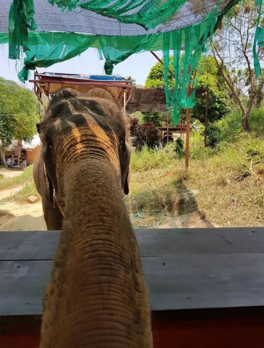 Зиплайн «Skyline Adventure Phuket»